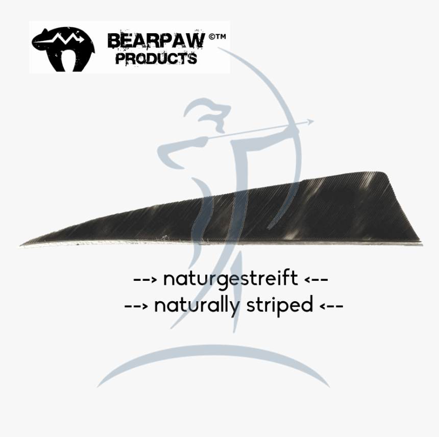 Bearpaw Feathers, HD Png Download, Free Download