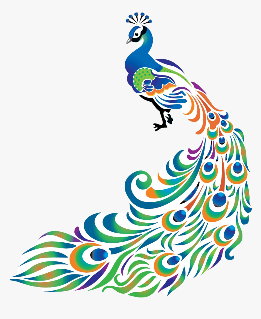 Peacock Feather Feathers Bird Freetoedit , Png Download - Colorful Drawings Of Peacock, Transparent Png, Free Download