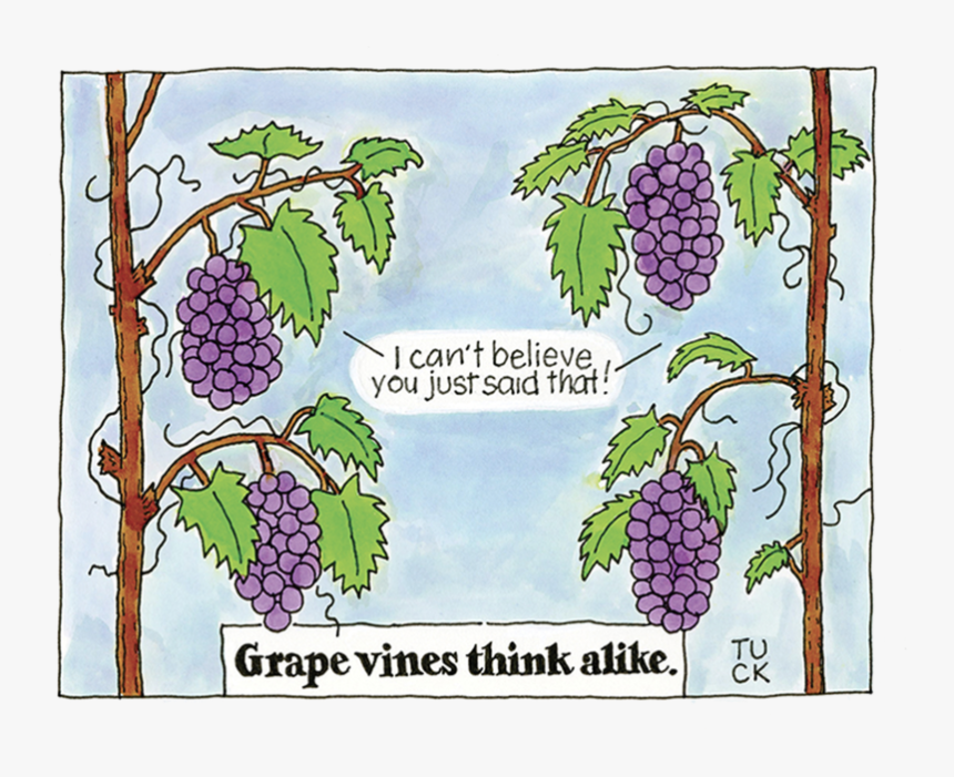 Grape Vines, HD Png Download, Free Download