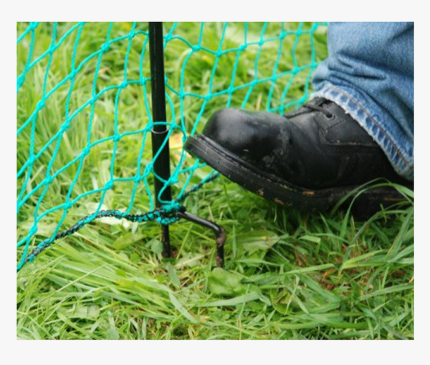 Chicken Netting Fencing 12m - Grass, HD Png Download, Free Download