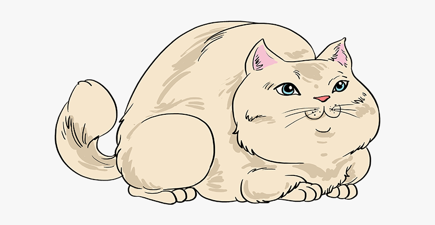 How To Draw Fat Cat - Asian, HD Png Download, Free Download