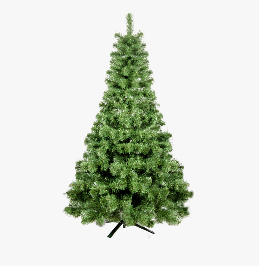 Christmas Tree, HD Png Download, Free Download