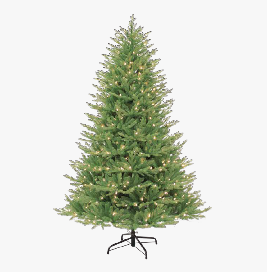 Fresh Noble Christmas Tree, HD Png Download, Free Download
