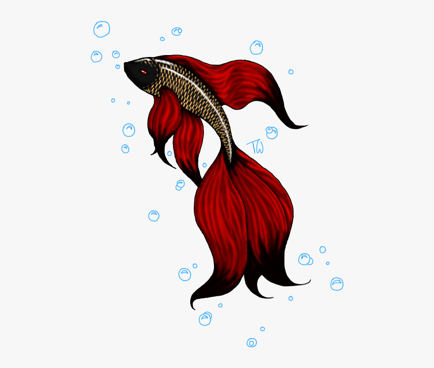 Betta Fish Design - Cartoon Fighting Fish Png, Transparent Png, Free Download