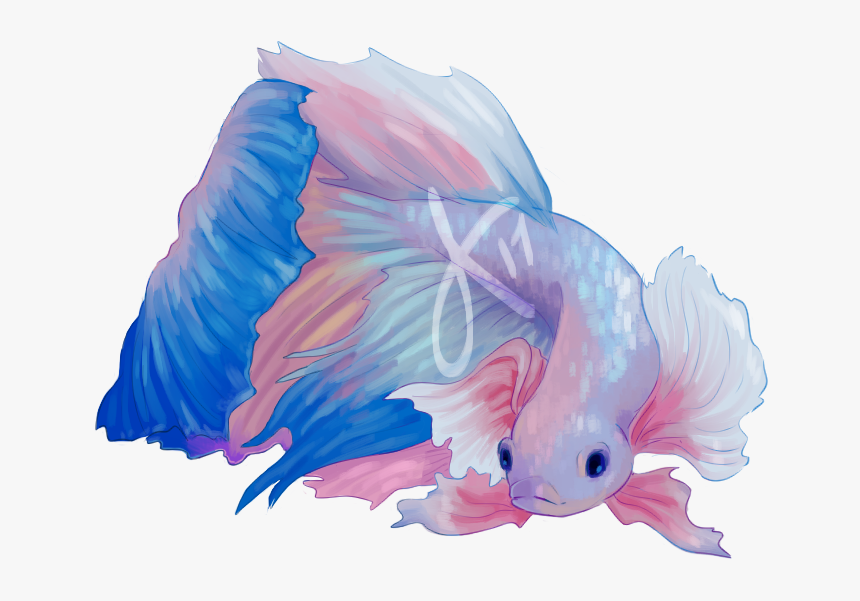 Png Tumblr Fish, Transparent Png, Free Download