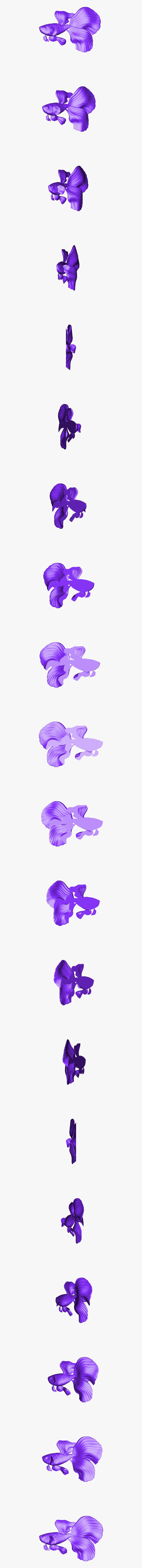 Iris, HD Png Download, Free Download