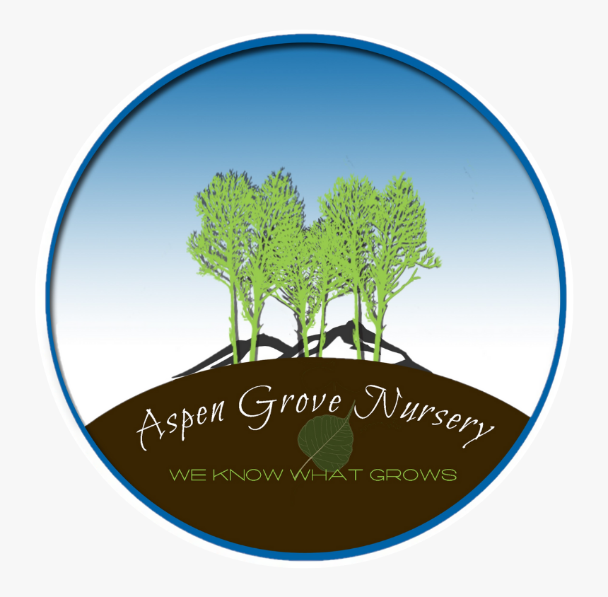 Aspen Grove Nursery - Circle, HD Png Download, Free Download