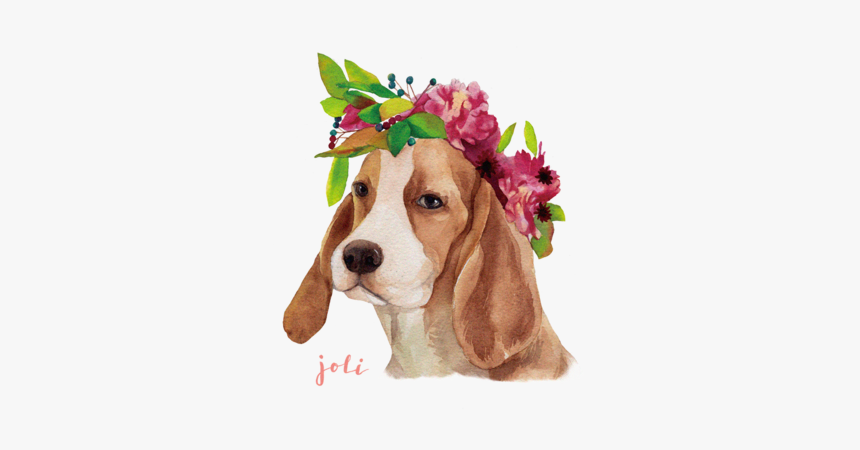 Basset Hound, HD Png Download, Free Download