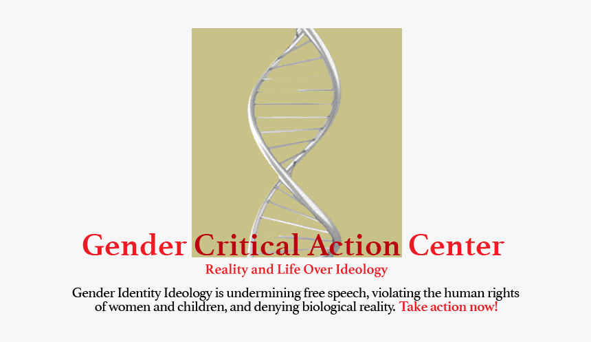 Shoot Rifle, HD Png Download, Free Download