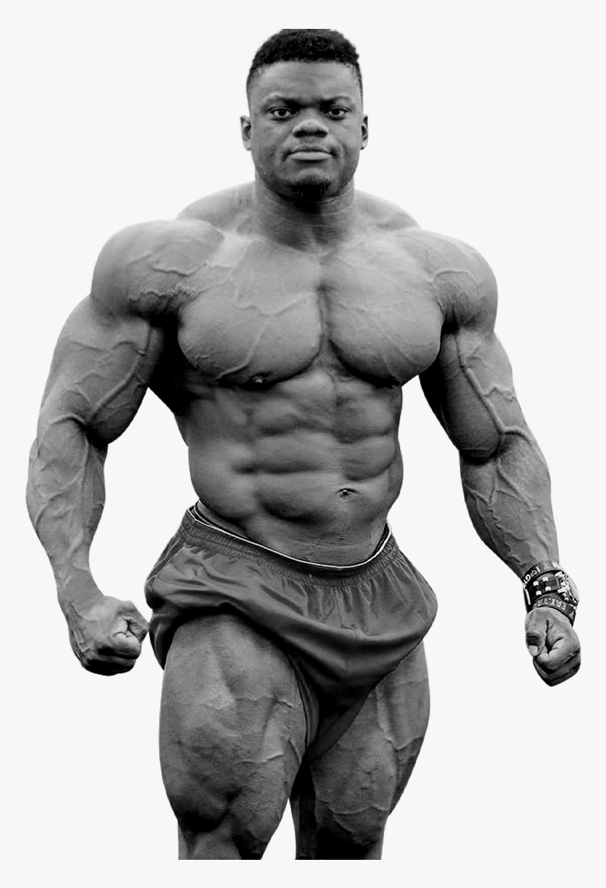 Bodybuilding, HD Png Download, Free Download