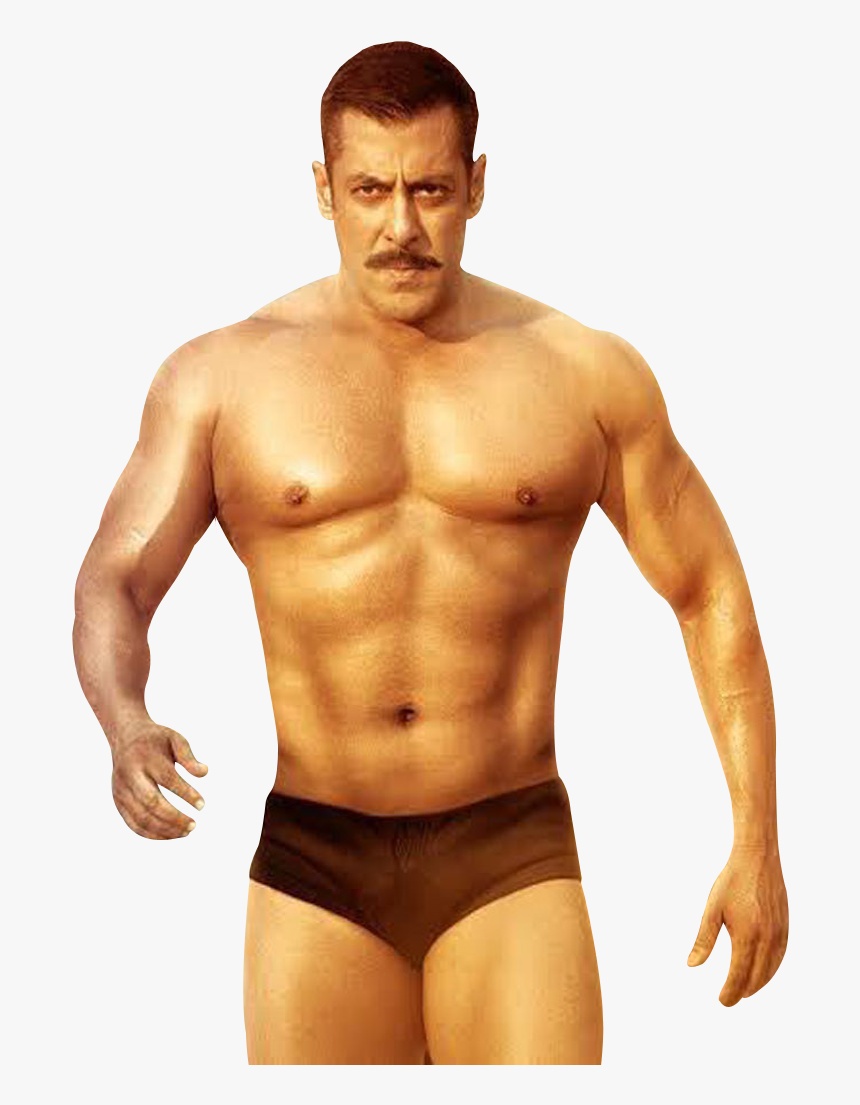 Salman Khan Sultan Poster, HD Png Download, Free Download