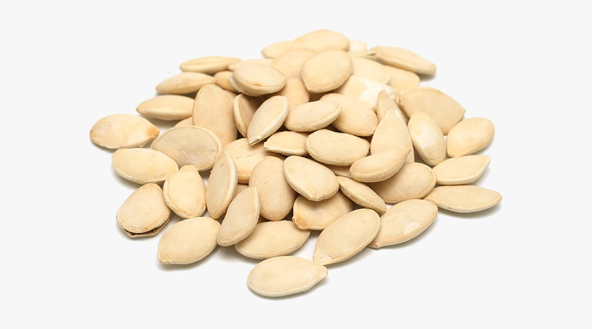 Pumpkin Seeds Png Images - Did You Know Pumpkin, Transparent Png, Free Download