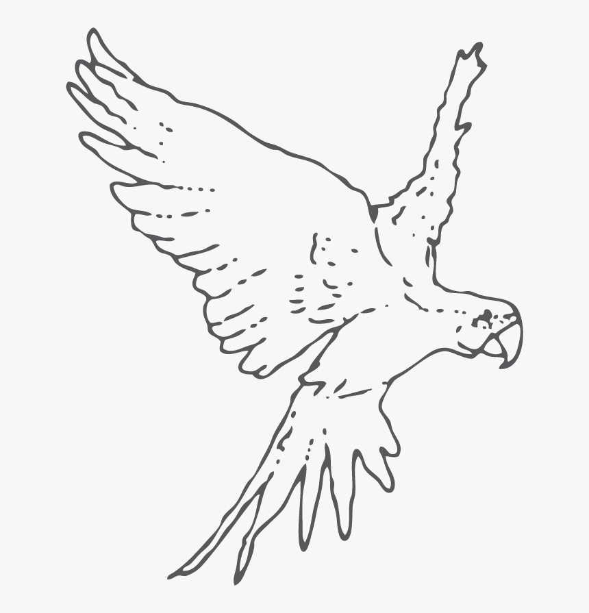 Buzzard, HD Png Download, Free Download