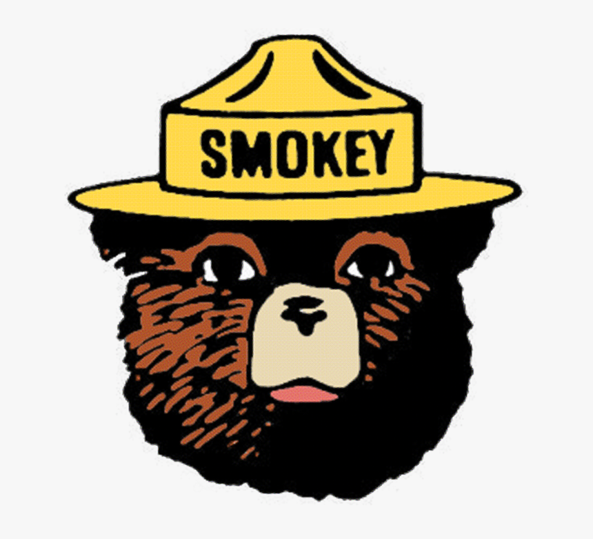 Smokey The Bear Clipart Smokey Bear Pillow Duvet - Smokey The B...