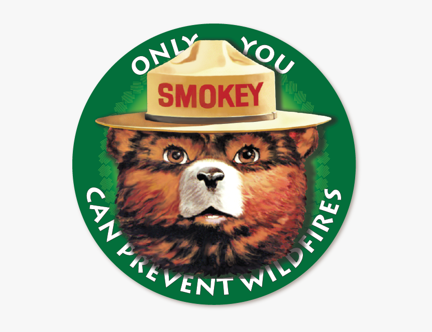 Smokey The Bear Think Poster, HD Png Download, Free Download