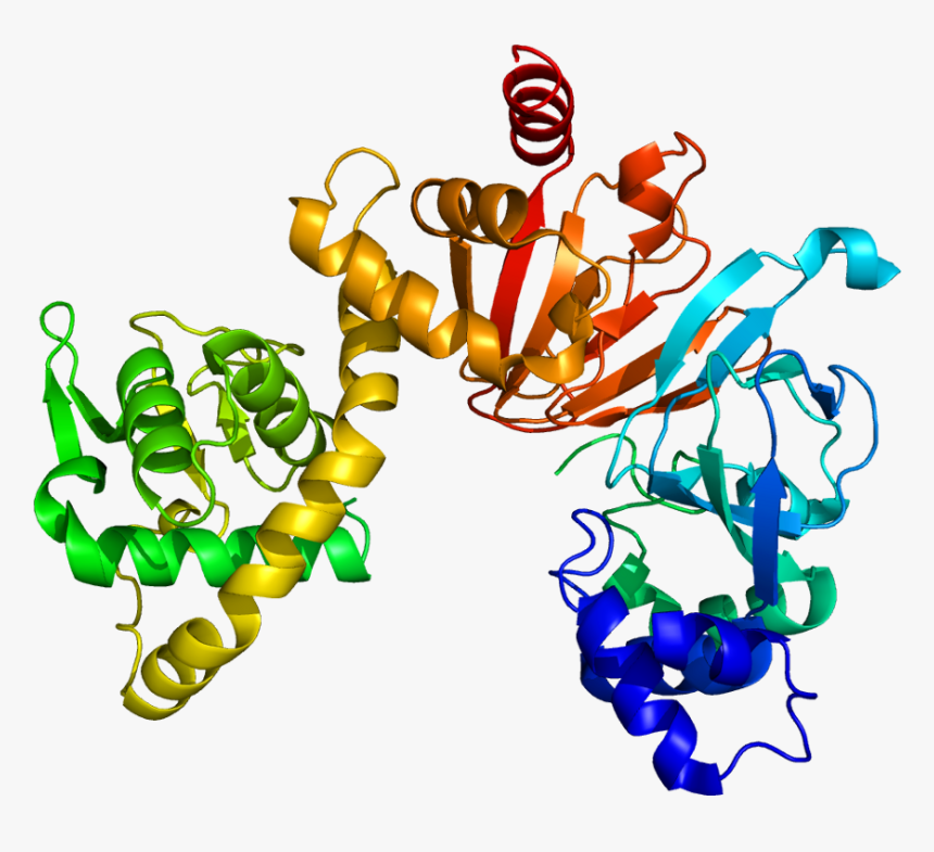 Protein Rapgef4 Pdb 1o7f - Illustration, HD Png Download, Free Download