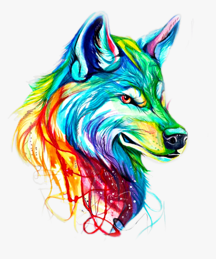 #colors #colorido #lobo - Colorful Wolf, HD Png Download, Free Download