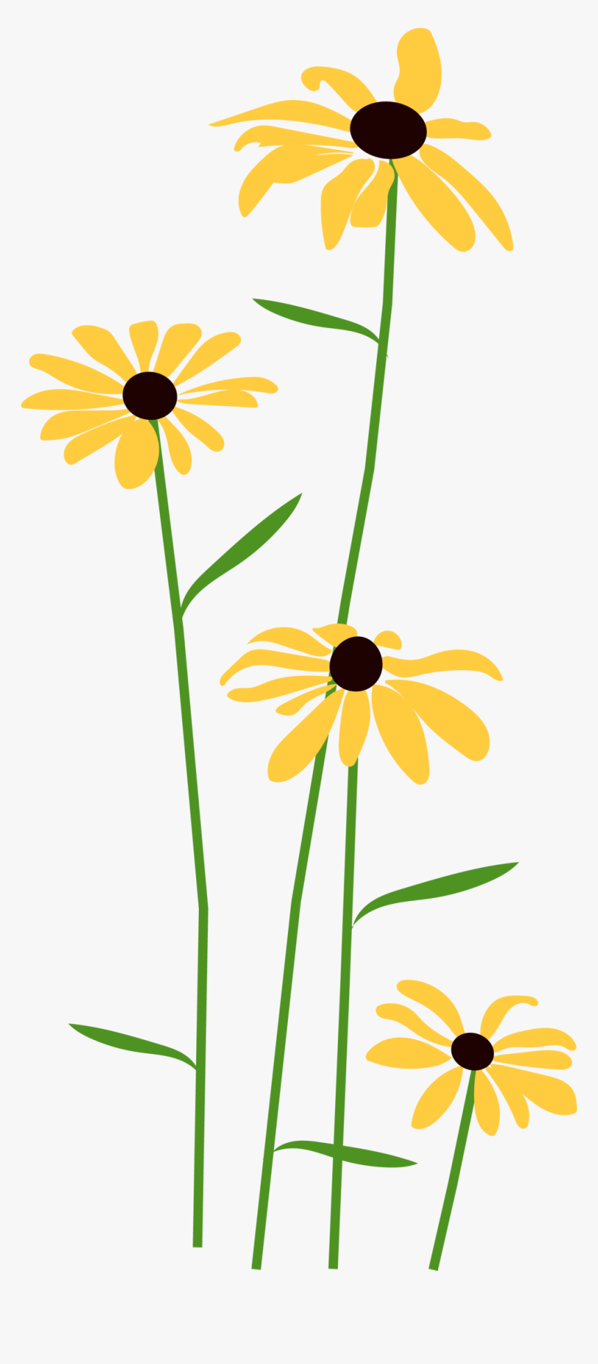 Alll Flowers, HD Png Download, Free Download