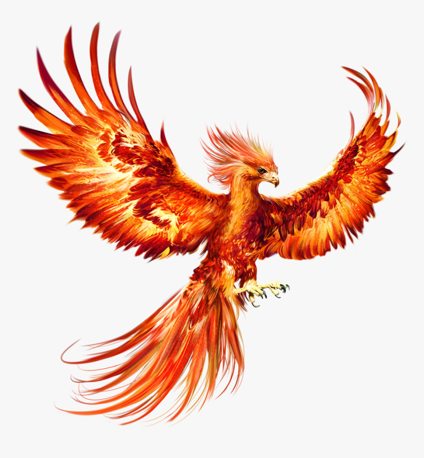 Hai hui tomnatic - Page 3 553-5530904_phoenix-bird-hd-png-download