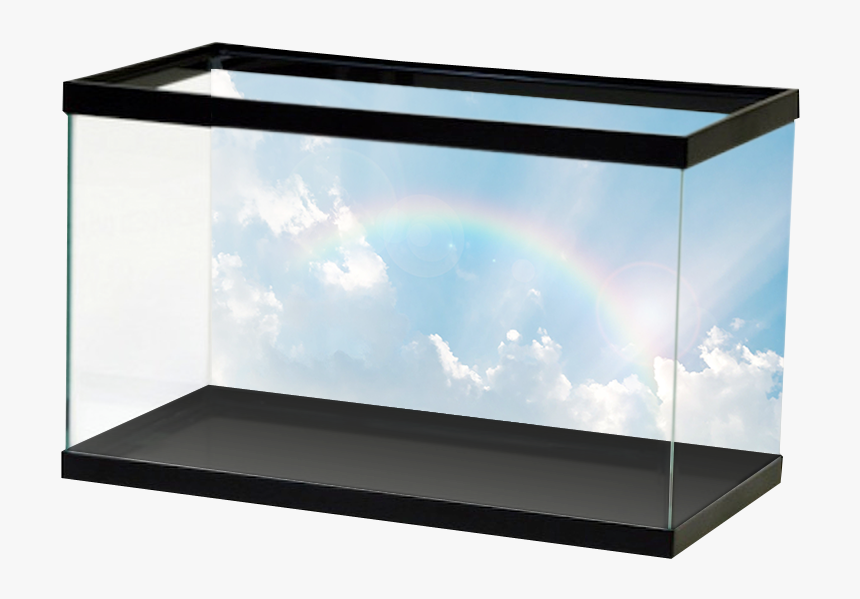 Specialty Rainbowsky - Underwater Cave Aquarium Background Hd, HD Png Download, Free Download