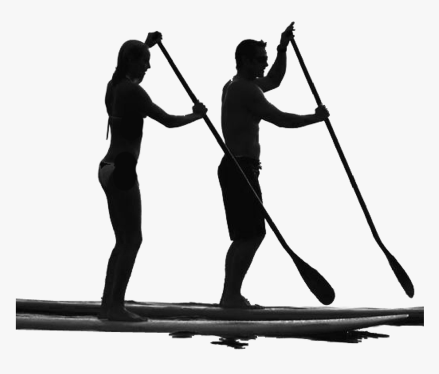 Standup Paddleboarding Surfing Manatee Paddle Sales - Paddle Boarding Sup Silhouette, HD Png Download, Free Download