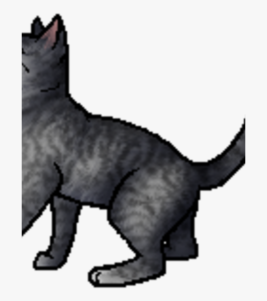 Logo-starclan - Warriors, HD Png Download, Free Download