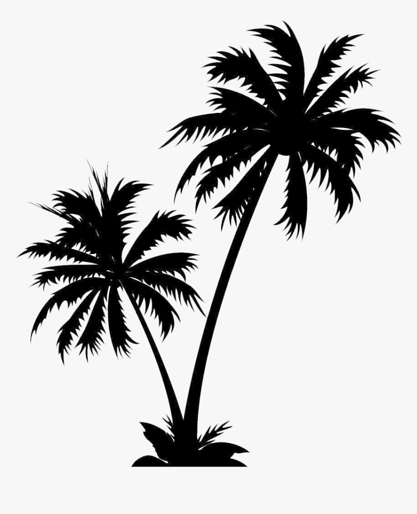 Isle Manage Specializes In White Palm Tree Png - Vector Palm Tree Png, Transparent Png, Free Download