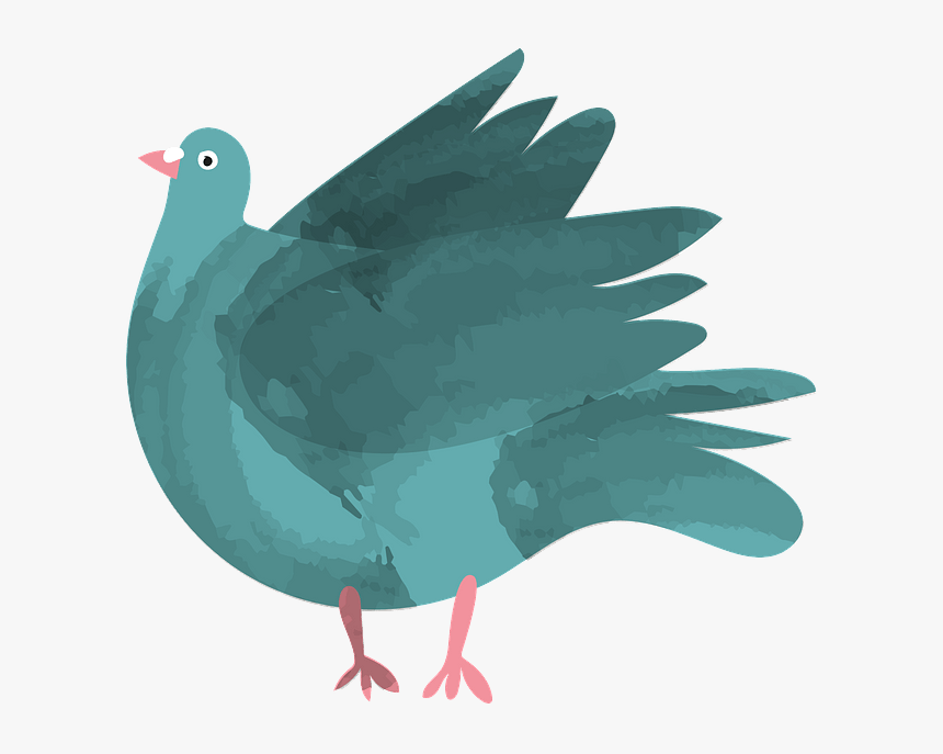 Pigeons And Doves, HD Png Download, Free Download