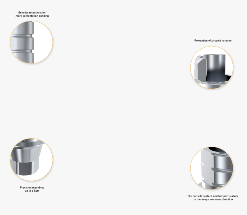 03-index Tibase - Circle, HD Png Download, Free Download