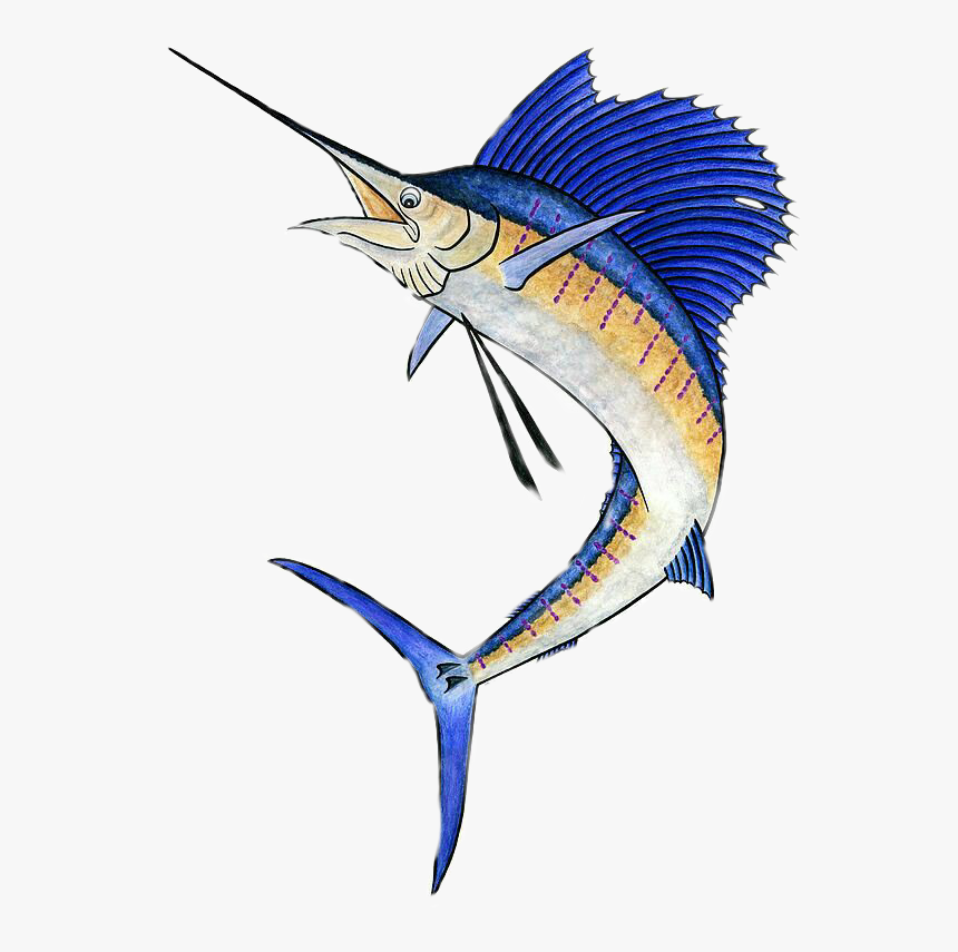 #pez Espada - Atlantic Diagram White Marlin Swordfish Blue Marlin, HD Png Download, Free Download