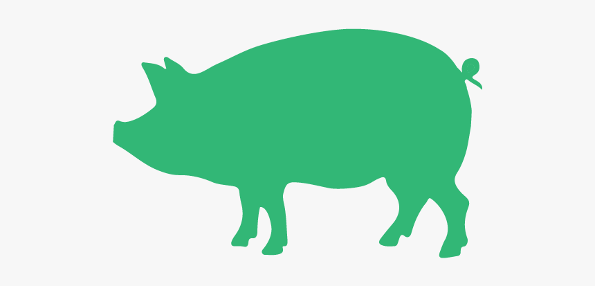 Illustrations Pigs Green - Pig Silhouette Clip Art, HD Png Download, Free Download