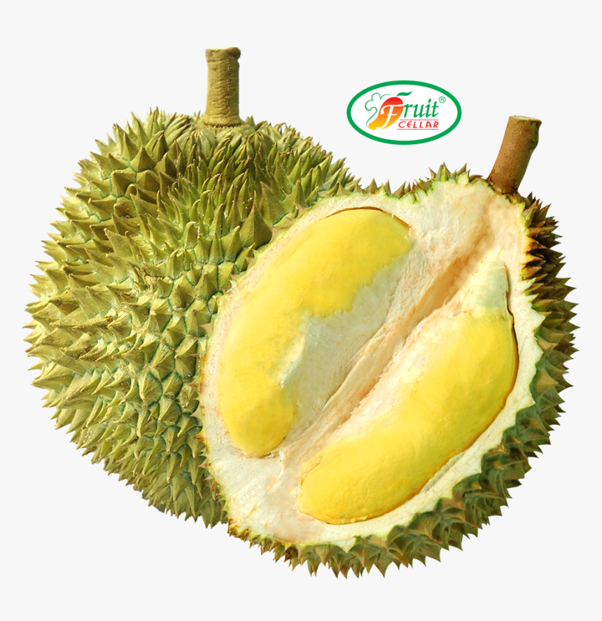 Transparent Background Durian, HD Png Download, Free Download