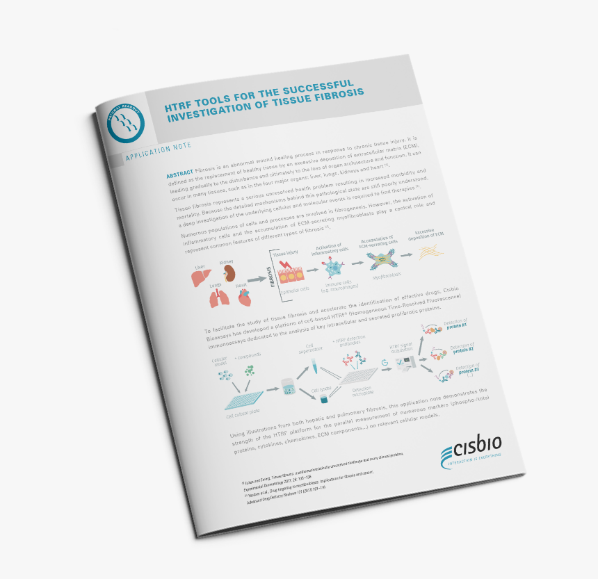 Display Device, HD Png Download, Free Download