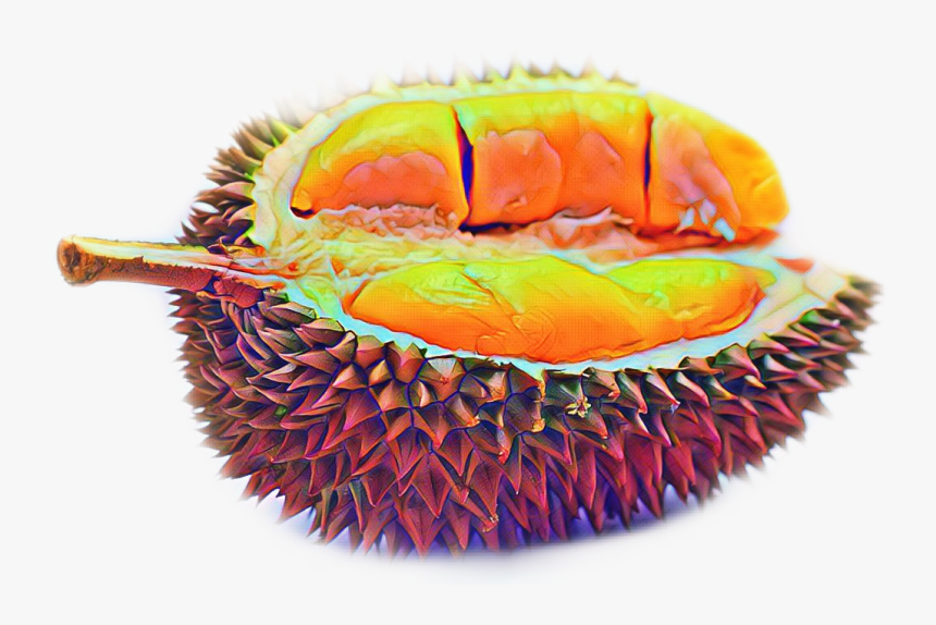 Durian With Transparent Background, HD Png Download, Free Download