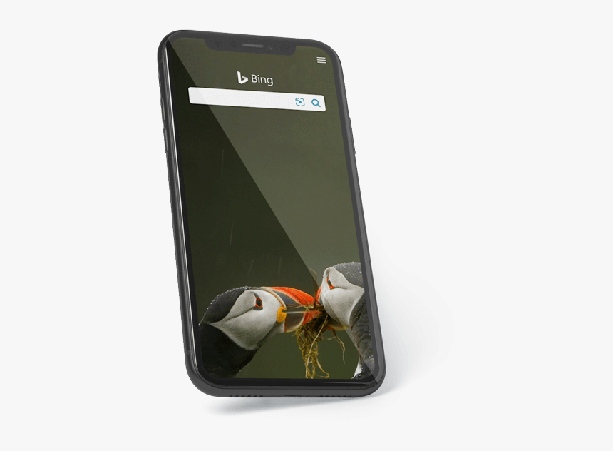 Smartphone With Bing Search Engine And Toucans Displayed - Atlantic Puffin, HD Png Download, Free Download