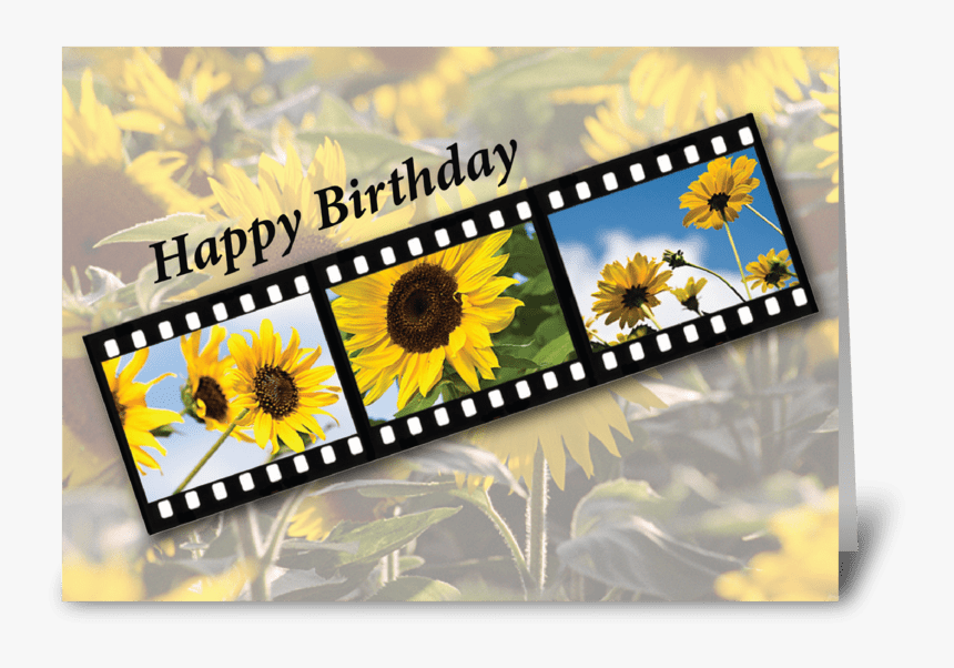Birthday Sunflower Filmstrip Greeting Card - Happy Anniversary Mom And Dad Sunflower, HD Png Download, Free Download