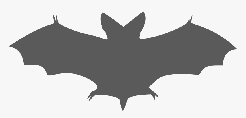 Halloween Bat Clipart - Shadow Of A Bat, HD Png Download, Free Download