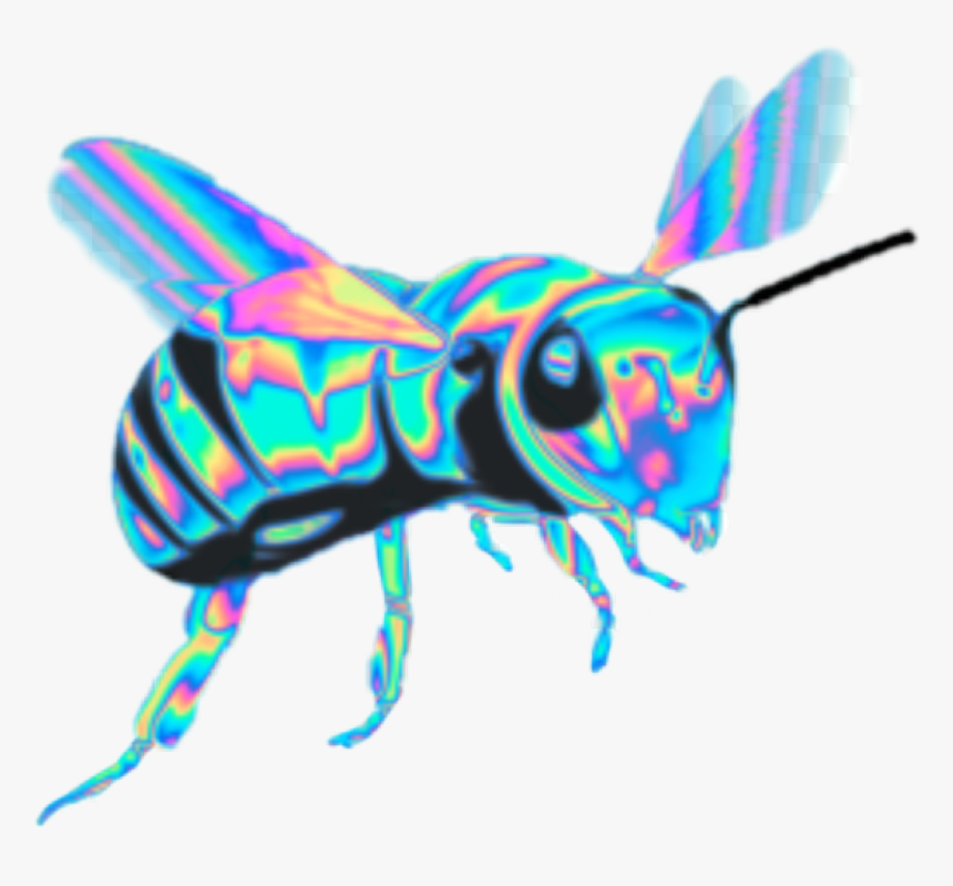 #sticker #colorful #aesthetic #cute #bee #bees #idk, HD Png Download, Free Download