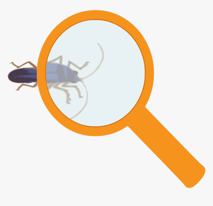 Logo,line,pest - Magnifying Glass With Bug Clip Art, HD Png Download, Free Download