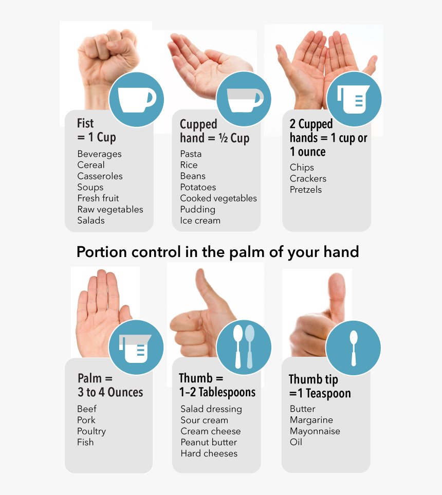 Practical Nutrition And Food Labeling - Comfort, HD Png Download, Free Download