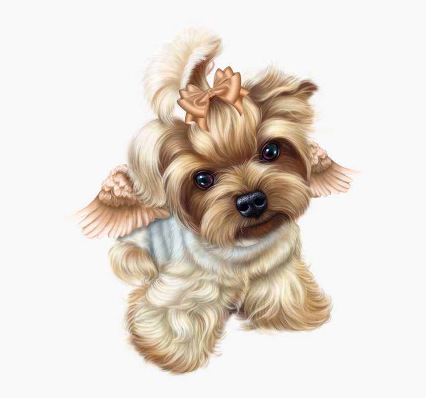 Yorkshire Terrier Www Picsfordesign Com Hunde, HD Png Download, Free Download