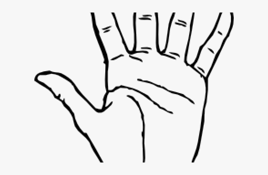 Fingers Clipart Back Hand - Hand Clip Art, HD Png Download, Free Download