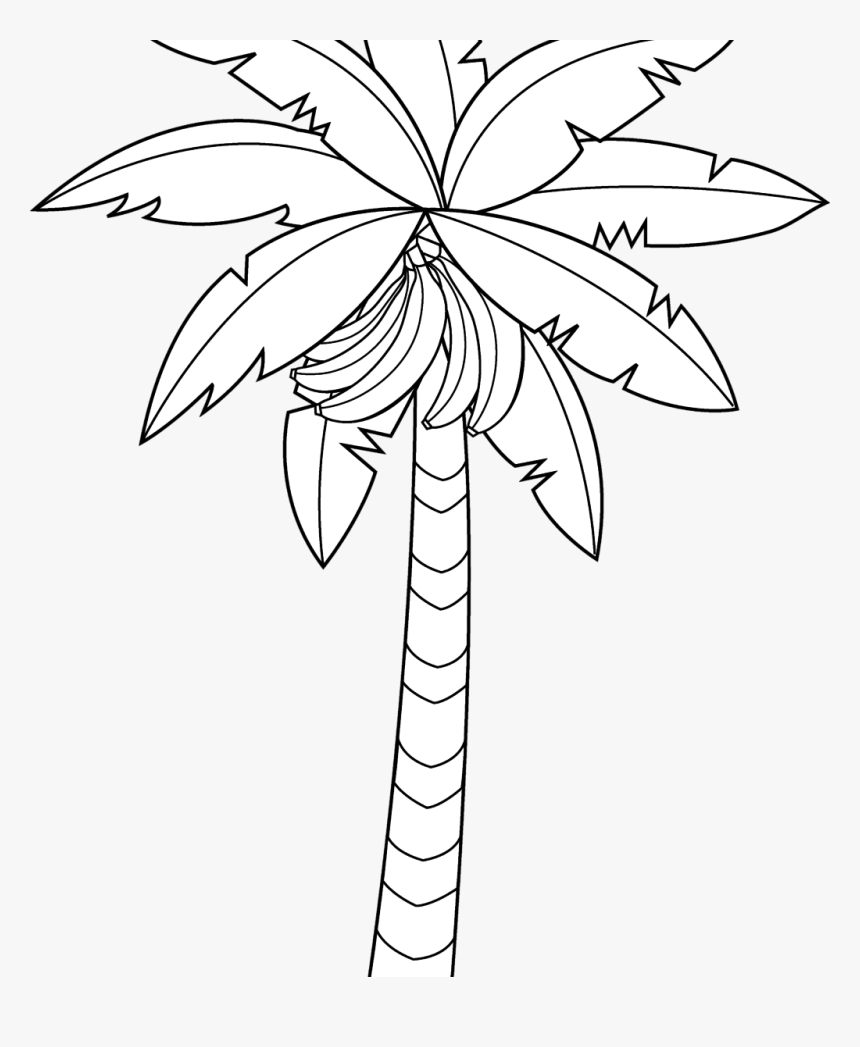 Banana Tree Drawing Outstanding Vector Hand Of In Large - Banana, HD Png Download, Free Download