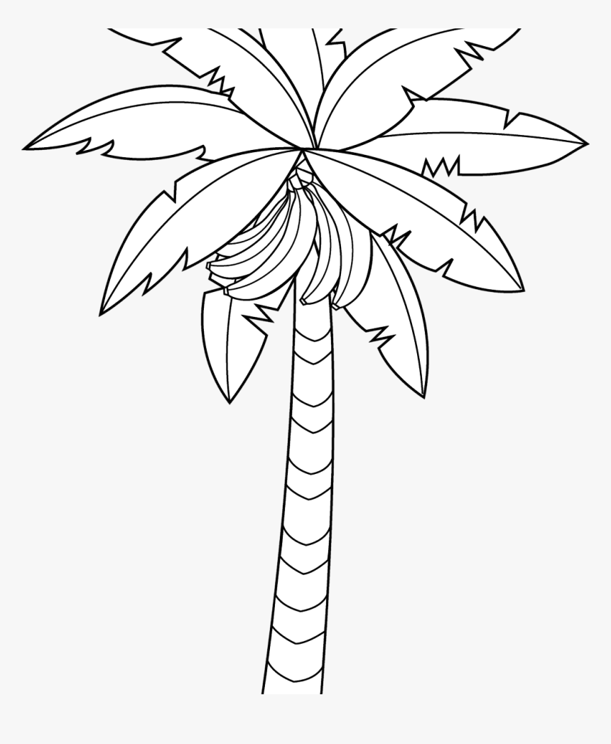 Banana Tree Drawing Outstanding Vector Hand Of In Large - Banana, HD ...