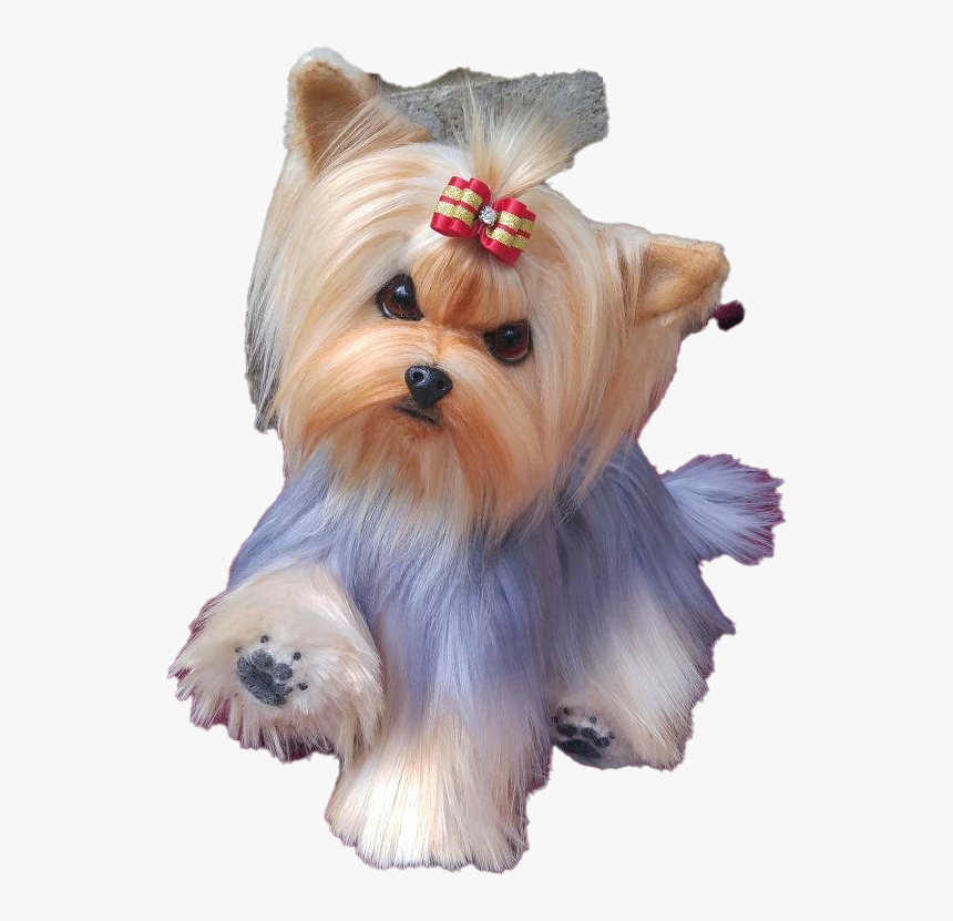 Yorkshire Terrier Puppy Png Clipart - Yorkshire Terrier Puppy, Transparent Png, Free Download