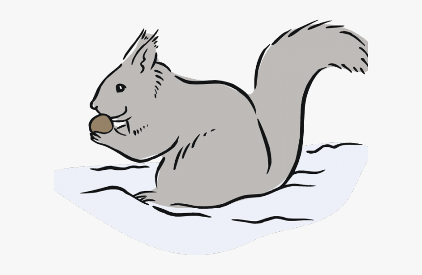 Gray Squirrel Clipart Cute Free Clipart On - Grey Squirrel Clip Art, HD Png Download, Free Download