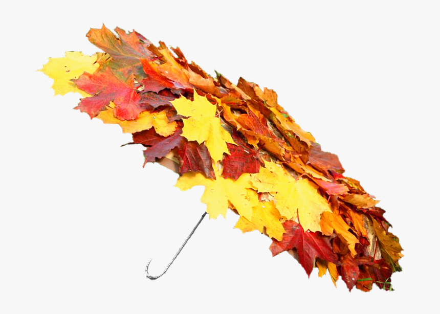 Autumn Rain Png Photos - Autumn Umbrella Gif, Transparent Png, Free Download