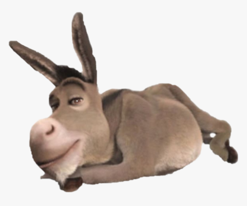 #donkey #shrek - Shrek Donkey Jpg, HD Png Download, Free Download