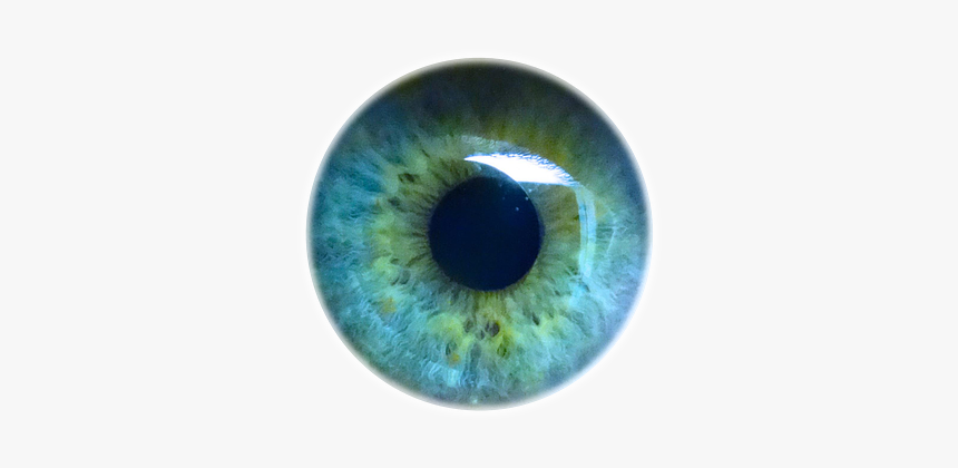 Blue Green Eye Png - Transparent Background Eyeball Png, Png Download, Free Download