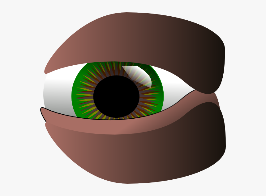 Cartoon Green Eye Svg Clip Arts - Circle, HD Png Download, Free Download